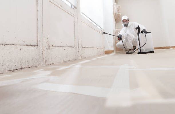 24/7 Emergency Mold Cleanup experts in Lexington, NC