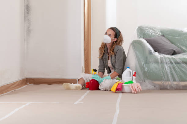 Reliable Mold Cleanup contractor in Lexington, NC by Cheap Mold Removal